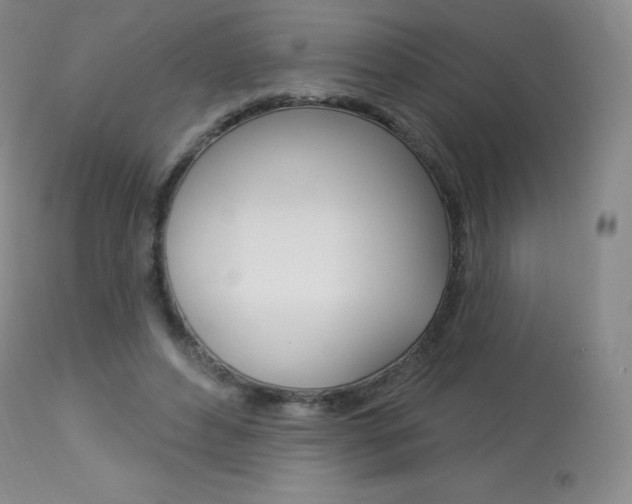 X0000113920496200909241332