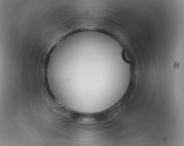 X0000113920500200909241332