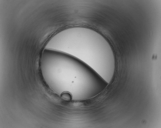 X0000113920501200909241332