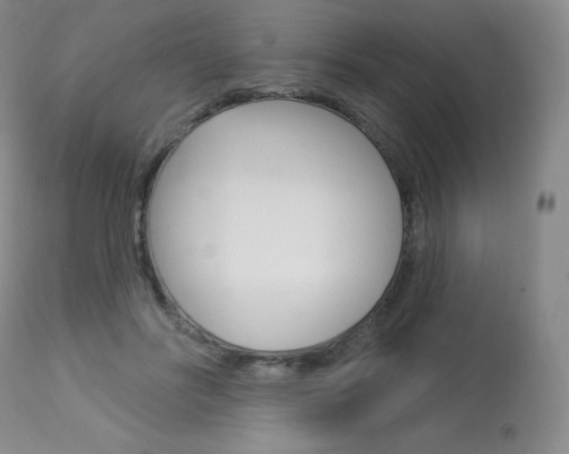 X0000113920502200909241332