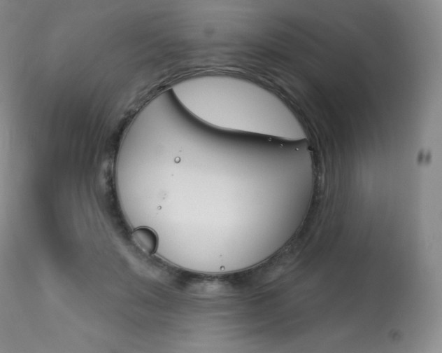 X0000113920503200909241332