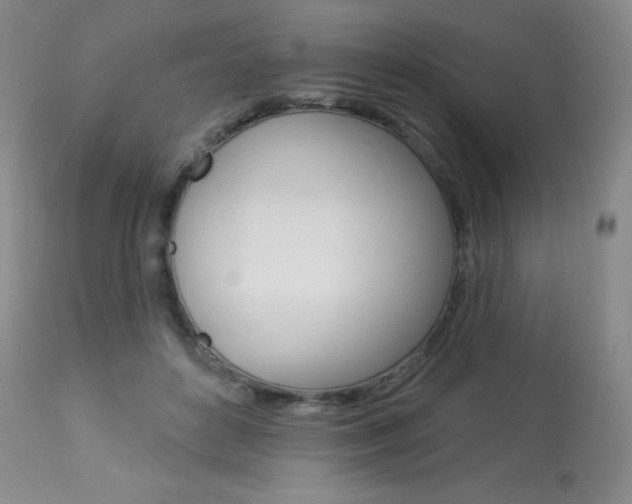 X0000113920504200909241332