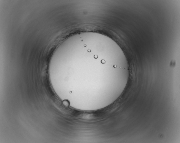 X0000113920507200909241332