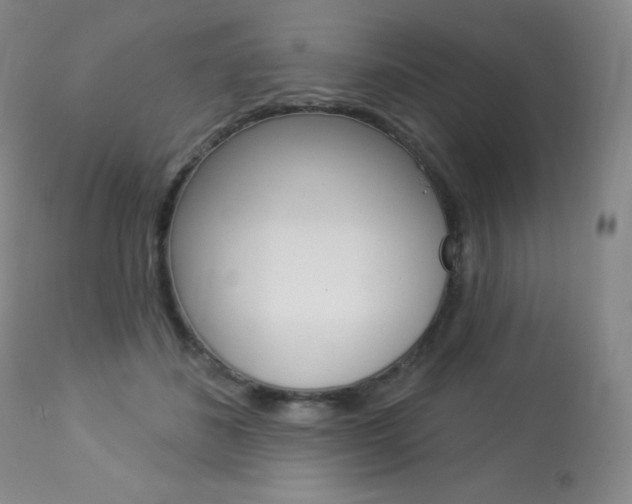 X0000113920508200909241332