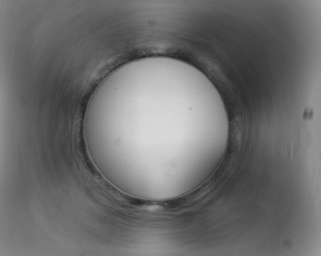 X0000113920509200909241332