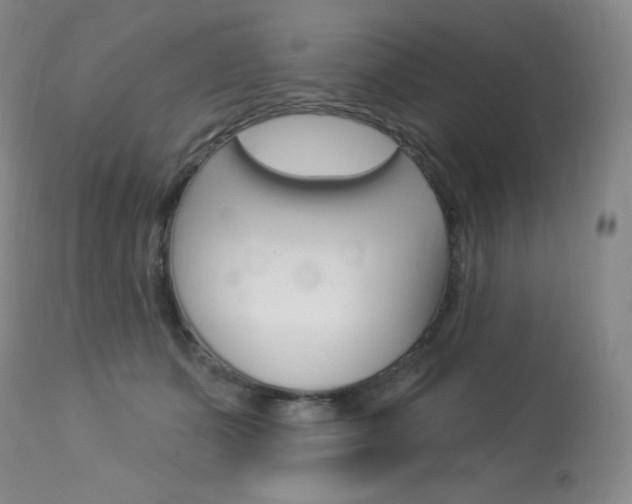 X0000113920511200909241332