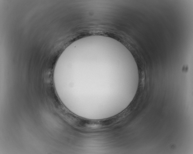 X0000113920514200909241332