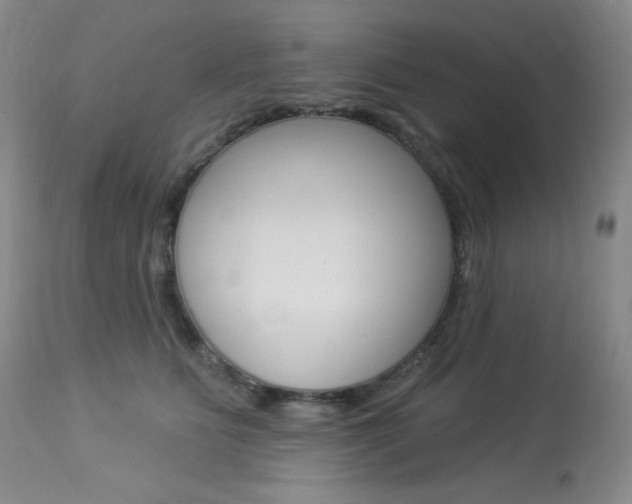 X0000113920515200909241332