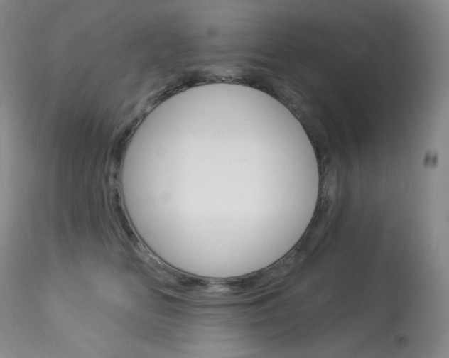 X0000113920518200909241332