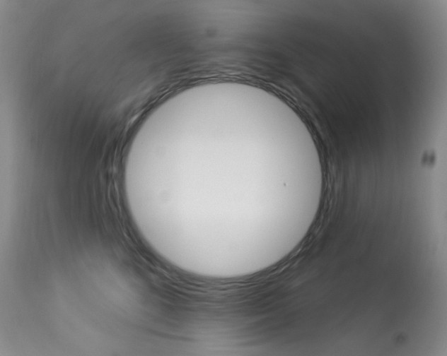 X0000113920520200909241332