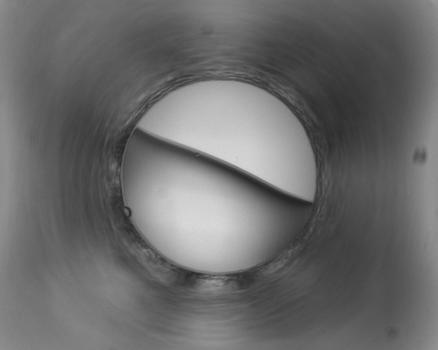 X0000113920521200909241332