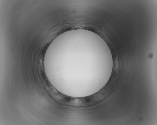 X0000113920522200909241332