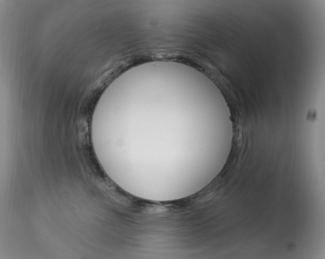 X0000113920523200909241332