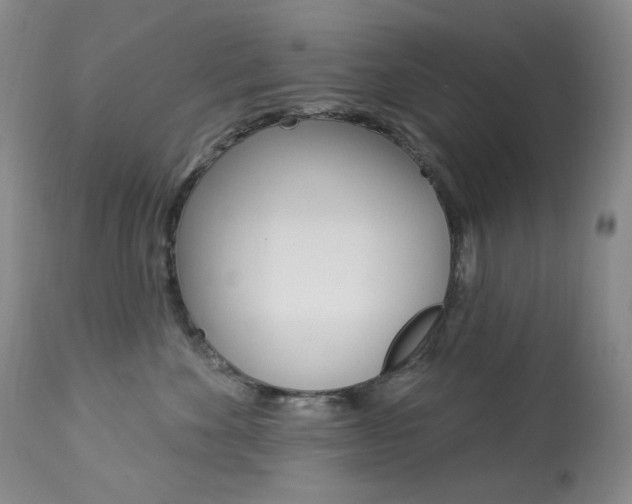 X0000113920524200909241332