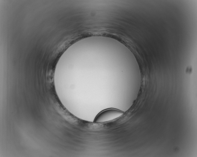 X0000113920525200909241332