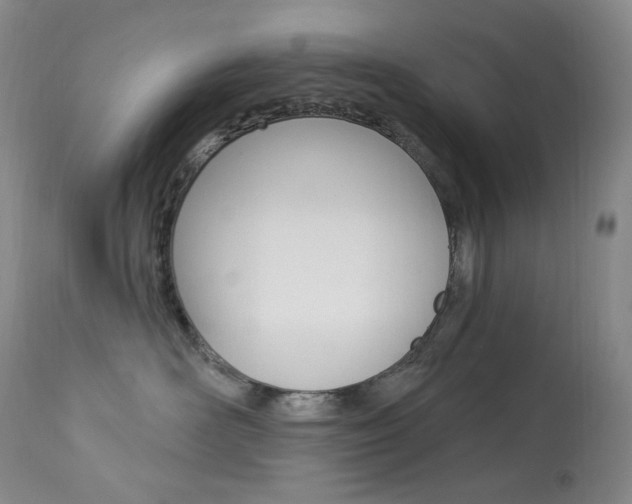 X0000113920526200909241332