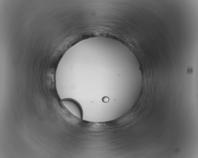 X0000113920527200909241332