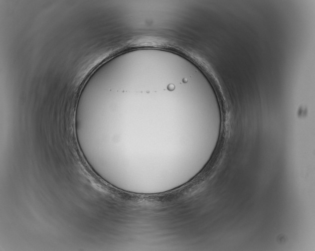 X0000113920529200909241331