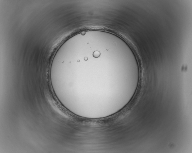 X0000113920533200909241331