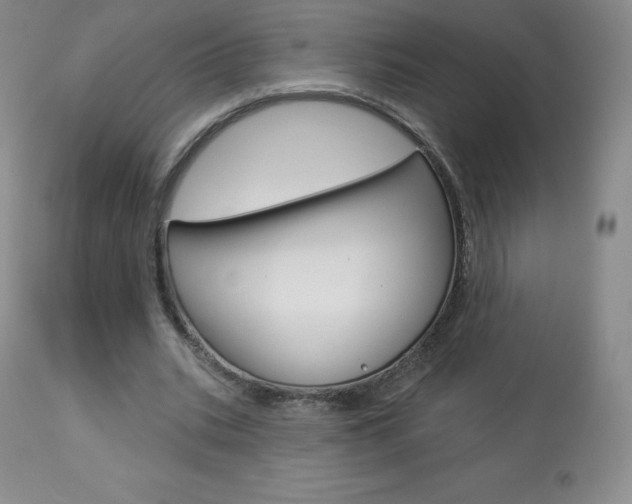 X0000113920535200909241331