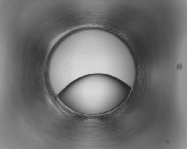 X0000113920536200909241331