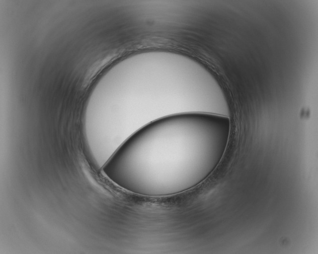 X0000113920538200909241331