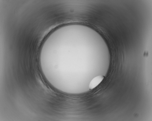 X0000113920540200909241332