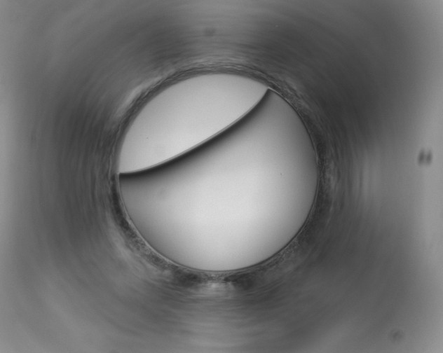 X0000113920543200909241332