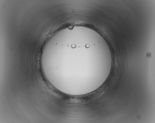 X0000113920545200909241332