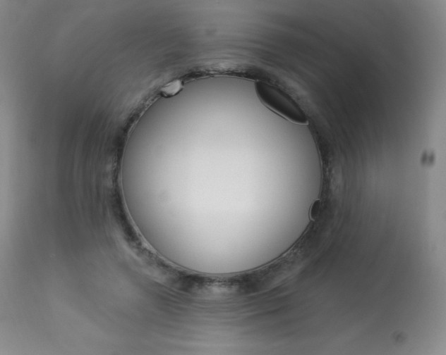 X0000113920546200909241332