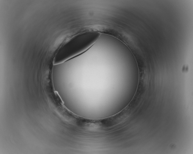 X0000113920548200909241332