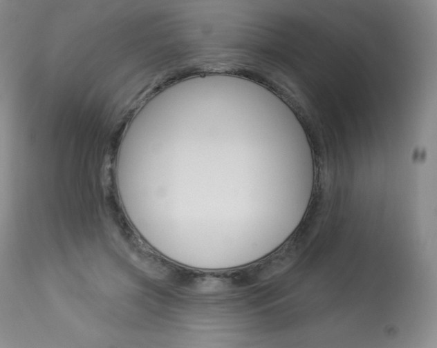 X0000113920549200909241332