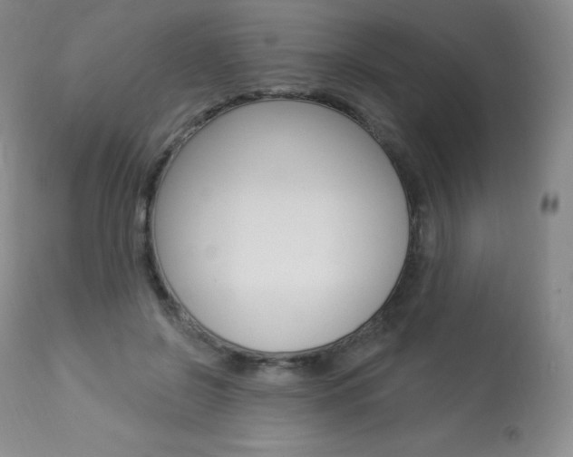 X0000113920550200909241332