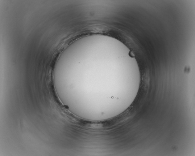 X0000113920554200909241332