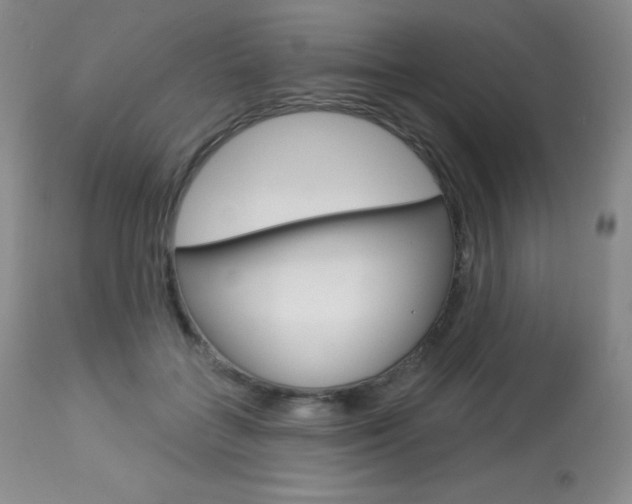 X0000113920555200909241332