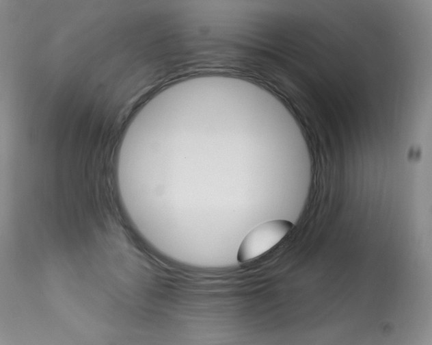 X0000113920556200909241332