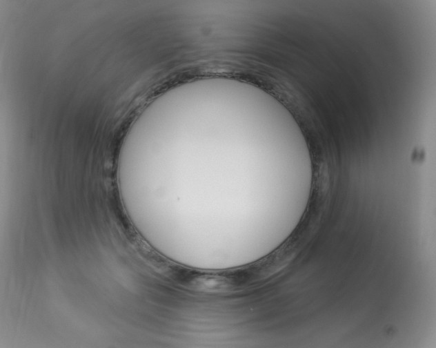 X0000113920557200909241332