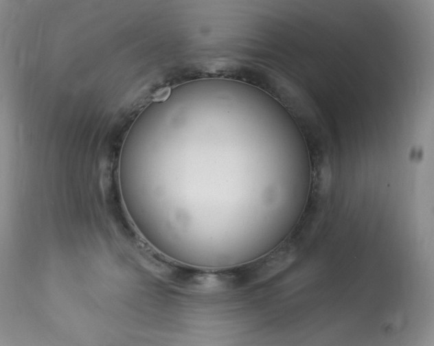 X0000113920558200909241332