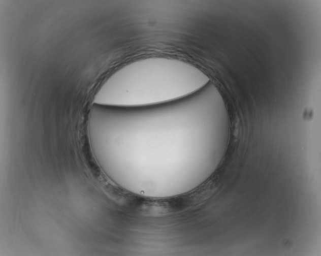 X0000113920559200909241332