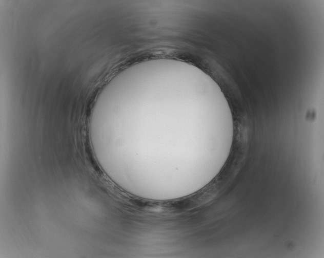 X0000113920561200909241332