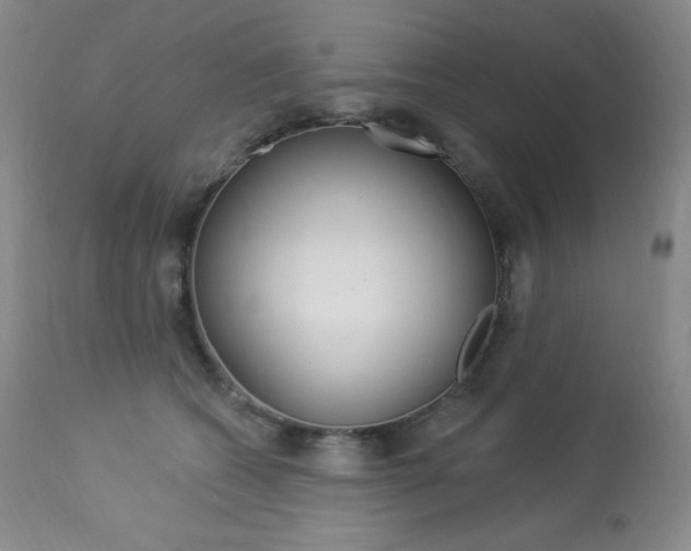 X0000113920562200909241332