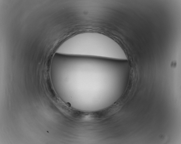 X0000113920564200909241332