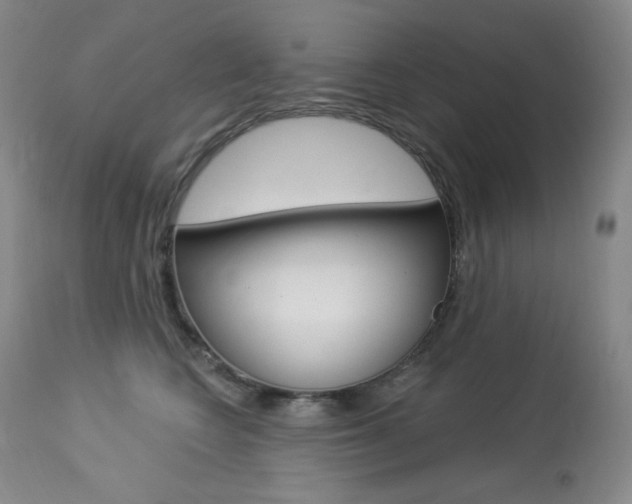 X0000113920566200909241332