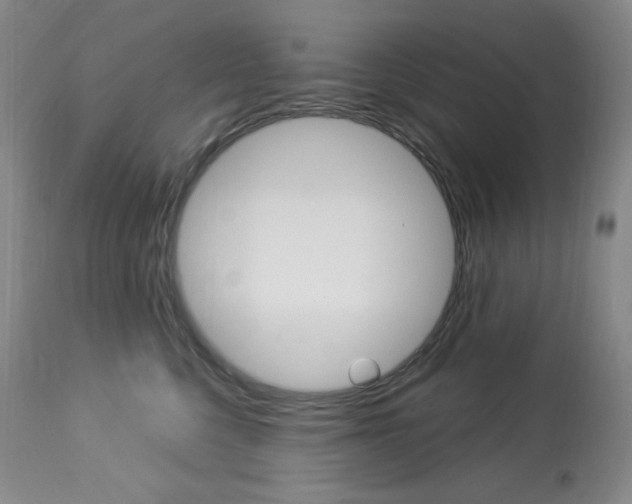 X0000113920568200909241332