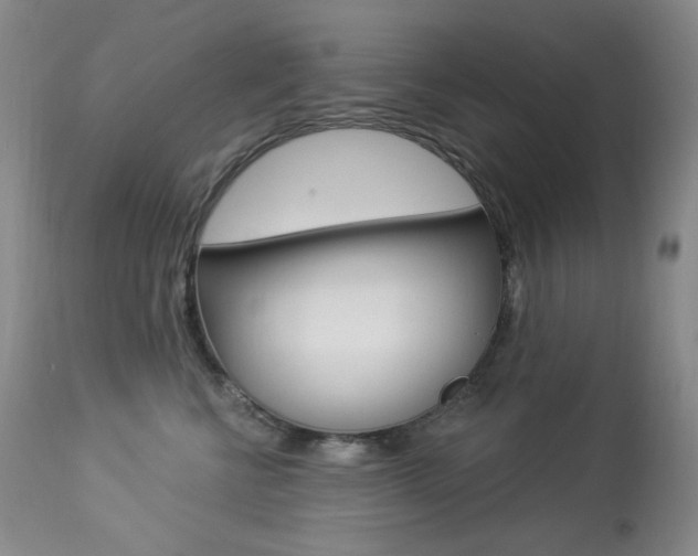 X0000113920570200909241332