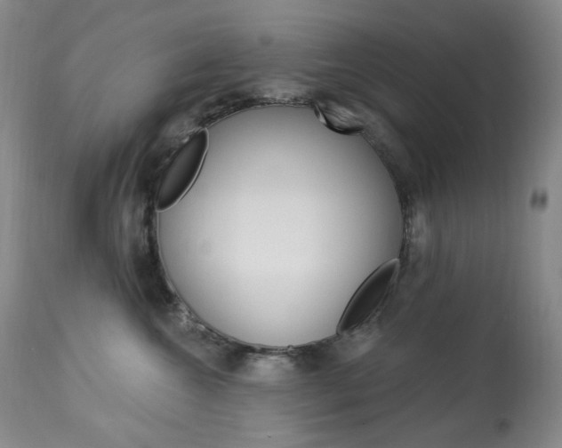 X0000113920572200909241332