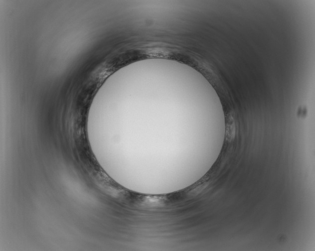 X0000113920573200909241332