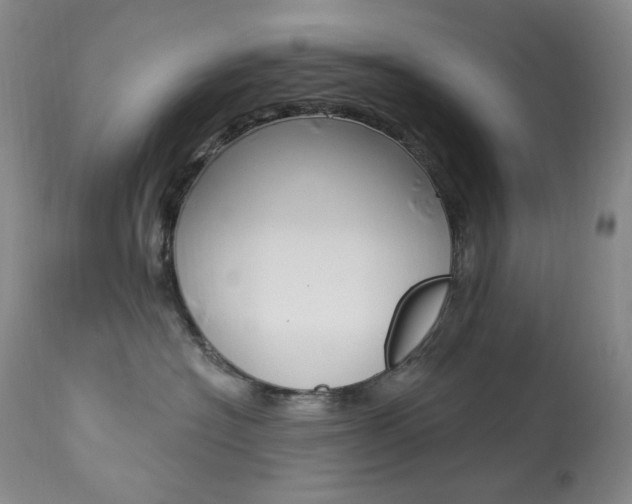 X0000113920574200909241332