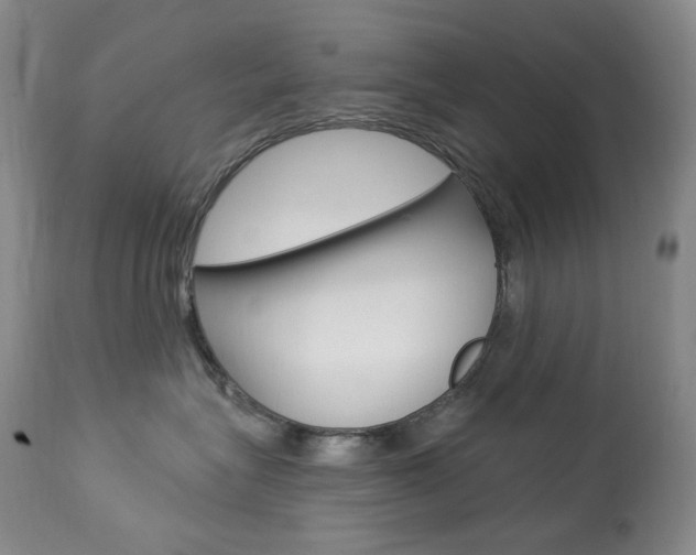 X0000113920575200909241332