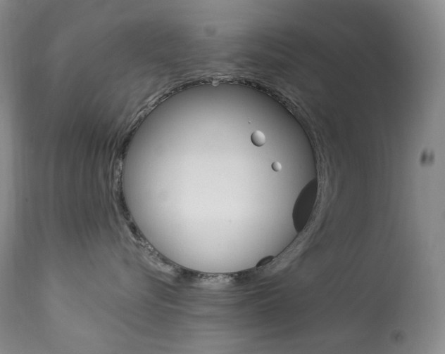 X0000113920576200909241332